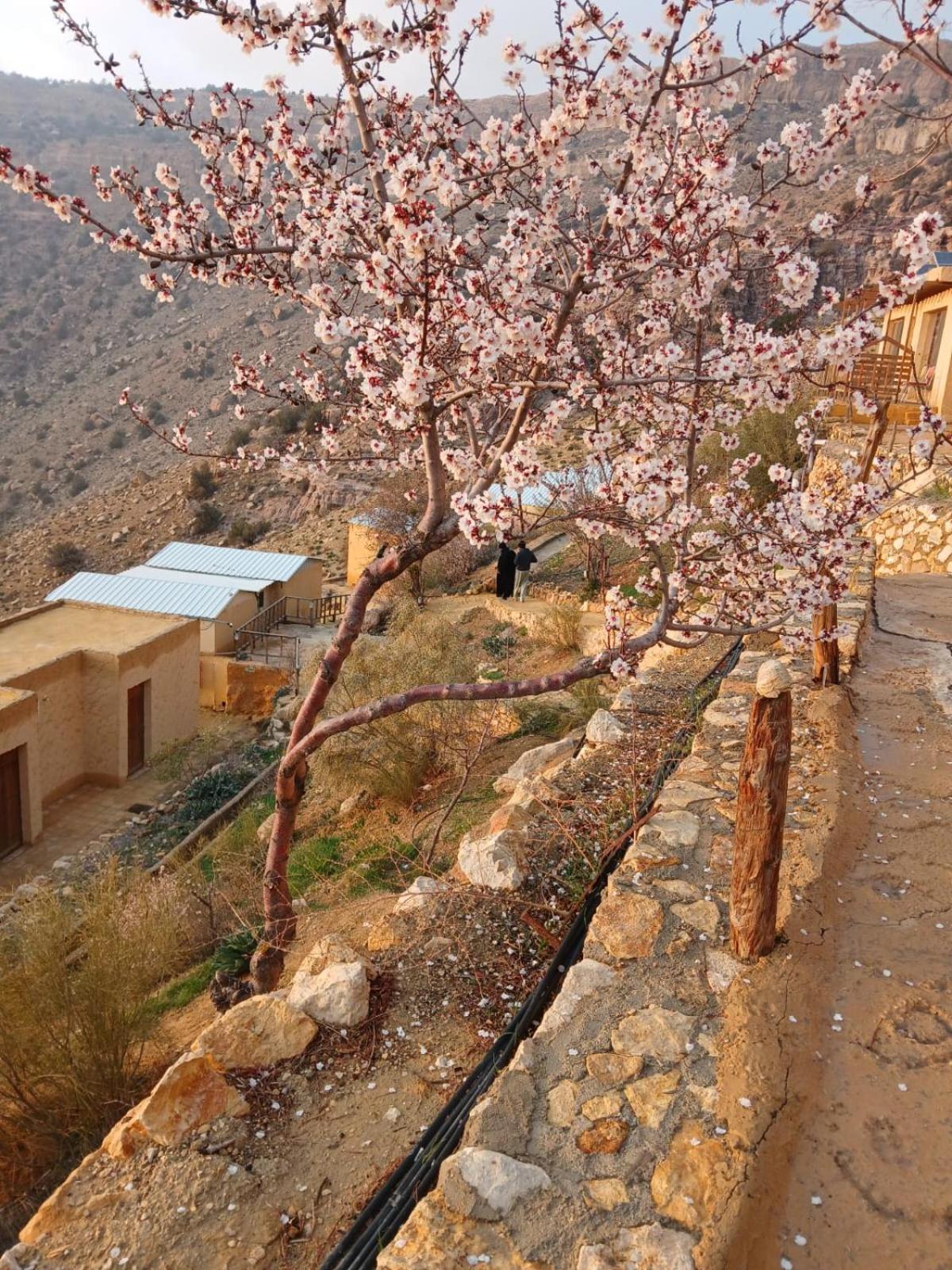 Dana Village Camp-Wadi Dana Eco Camp Extérieur photo